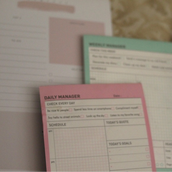 LOT: Paperian Daily + Weekly Undated Desk Planner - Picture 4 of 9